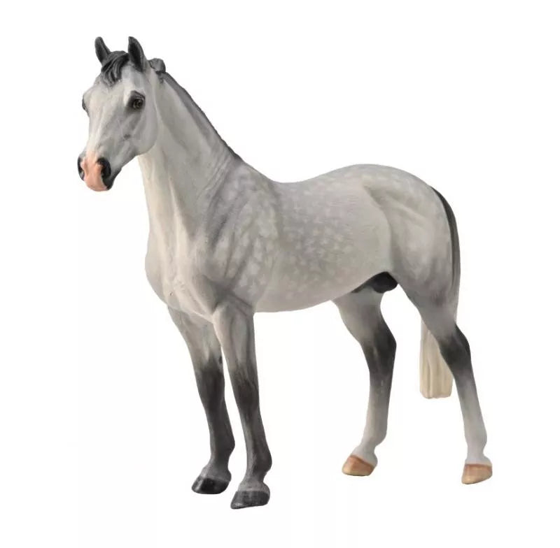 CollectA 88957 – Étalon Hanovrien Gris Pommelé