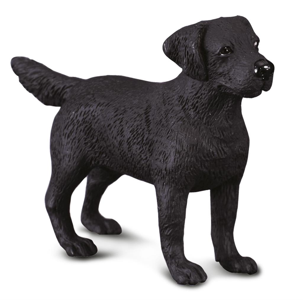 Labrador CollectA – Figurine de chien M