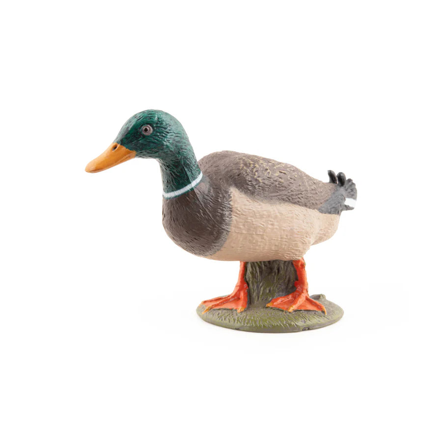 Figurine Canard Colvert Papo 51155 – Miniature oiseau aquatique peinte à la main