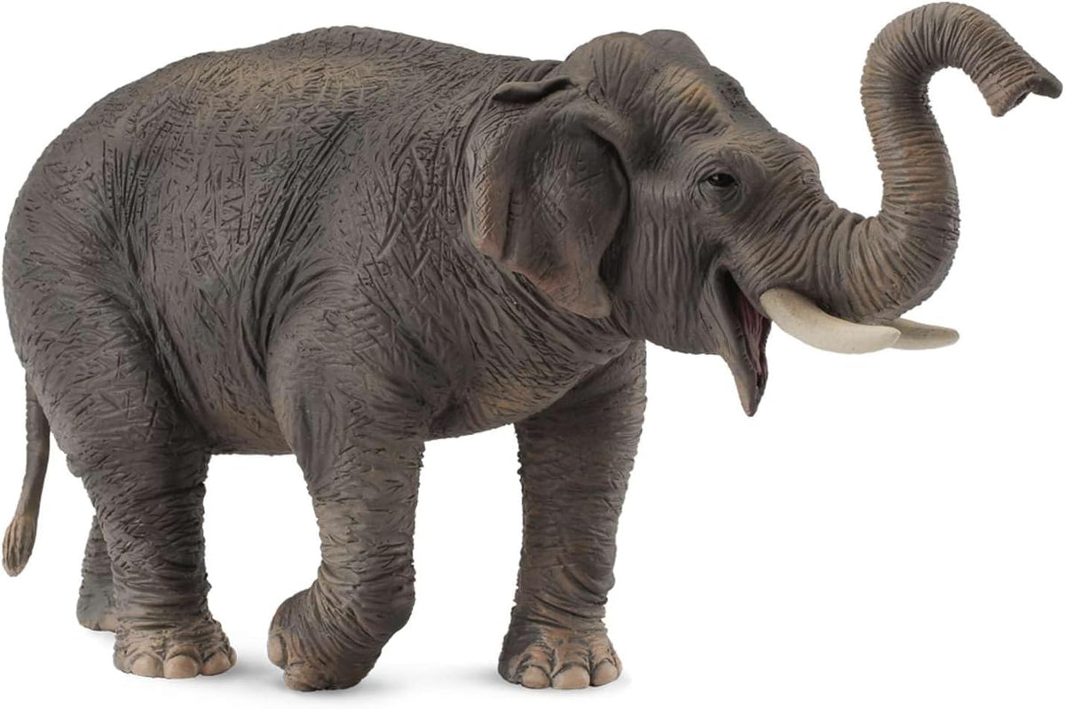 Éléphant d’Asie CollectA – Figurine XL