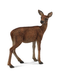 CollectA 88470 – Biche (Femelle Cerf Élaphe)