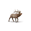 CollectA 80021 – Wapiti en Brame