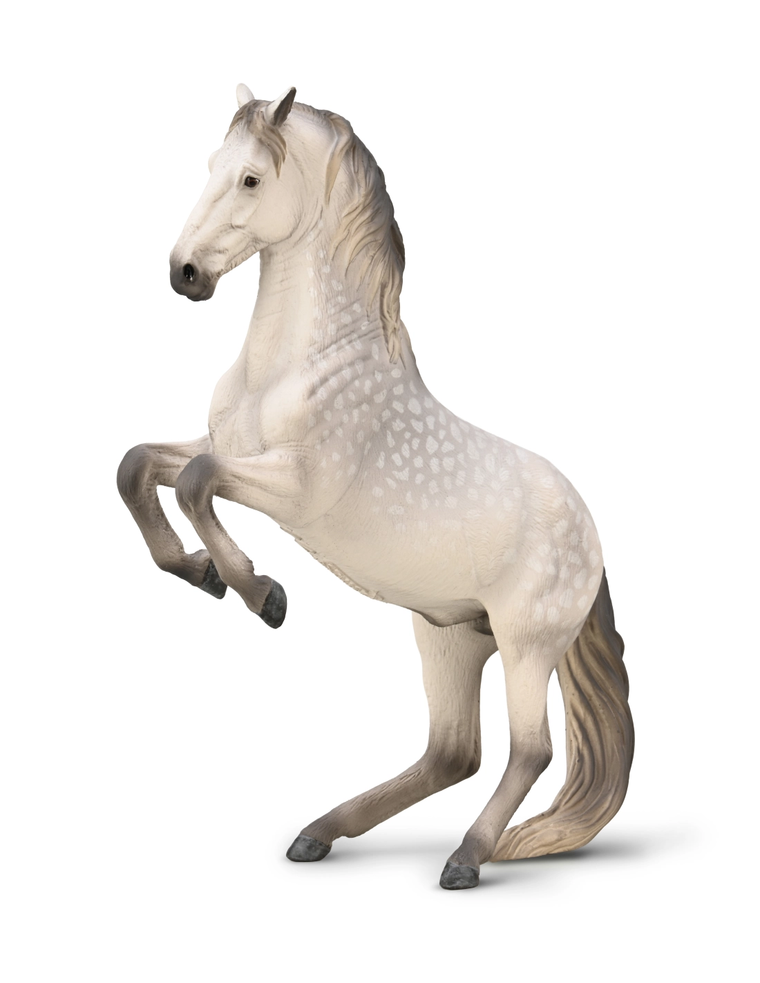CollectA 80051 – Lipizzan Gris Pommelé en Levade