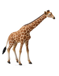 CollectA 88534 – Girafe Figurine Réaliste Animaux Sauvages