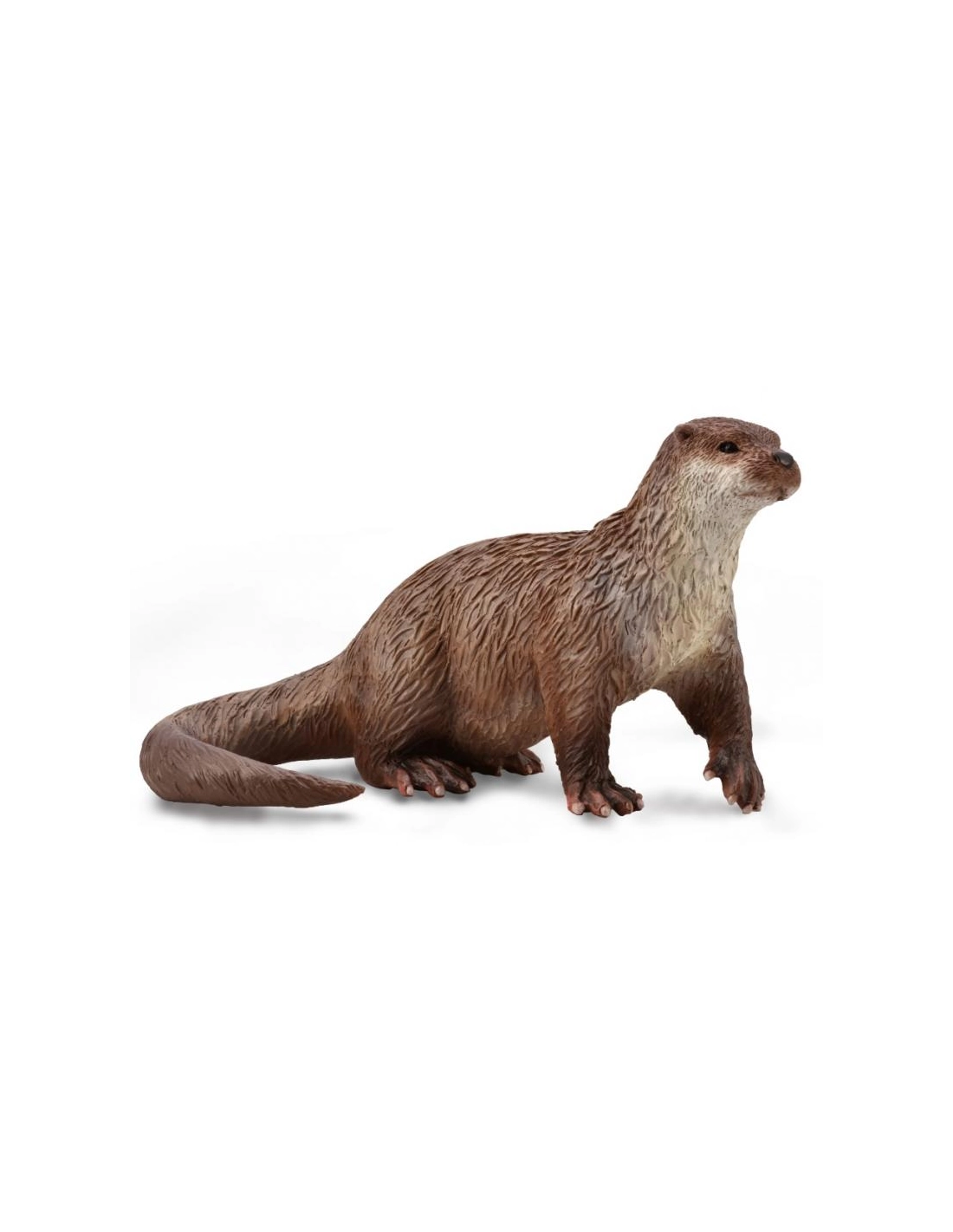 CollectA 88941 – Loutre