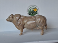 Miniatuur stier Belgisch Witblauw BW2