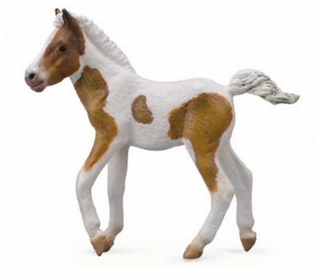 Collecta Pays du cheval >  Chevaux - Échelle 1:20    88735  Poulain de Dartmoor Hill – Skewbald