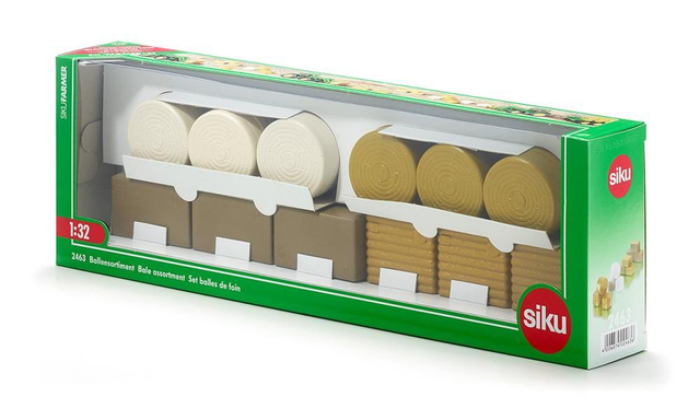 Siku 2463 ensemble ballot