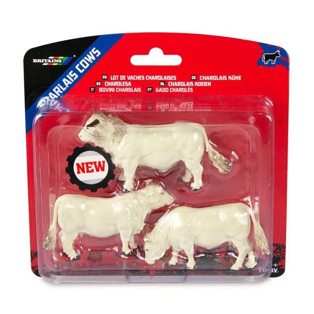 Lot 2 vaches 1 taureau CHAROLAIS 43240 BRITAINS 1/32