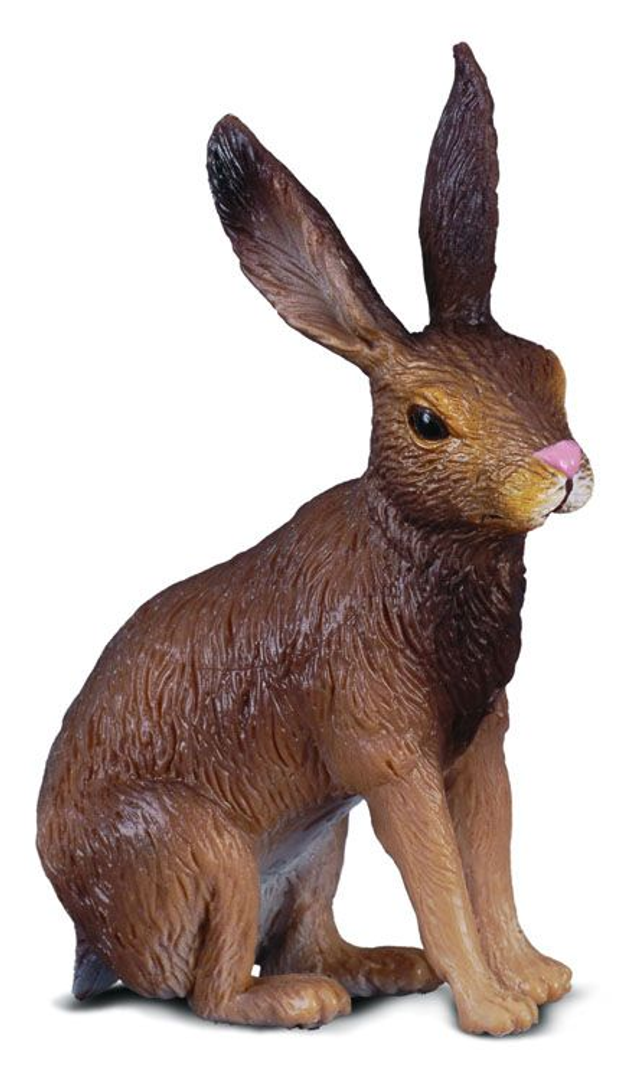 Collecta La vie sauvage >  Europe    88012  Lièvre brun