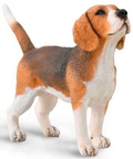 CollectA 88935 - Beagle