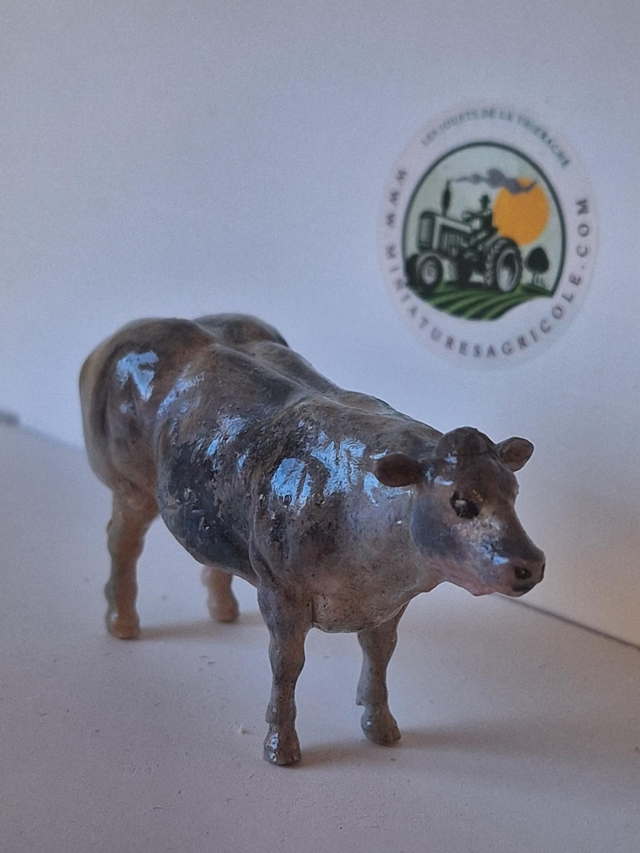 Miniatuur Belgisch Witblauw rund BBB4