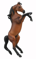 Collecta 8899 Etalon Arabe - 1:20