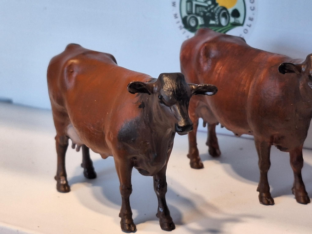 Créations en resine 3d vache Rouge Flamande rgf01