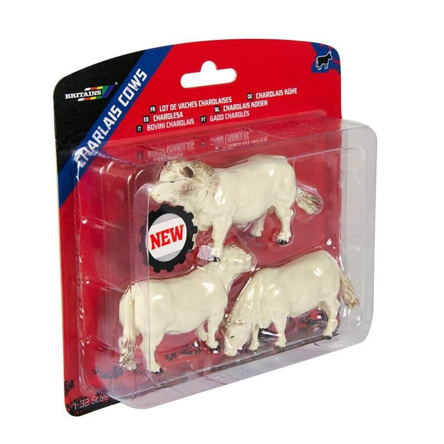 Lot 2 vaches 1 taureau CHAROLAIS 43240 BRITAINS 1/32