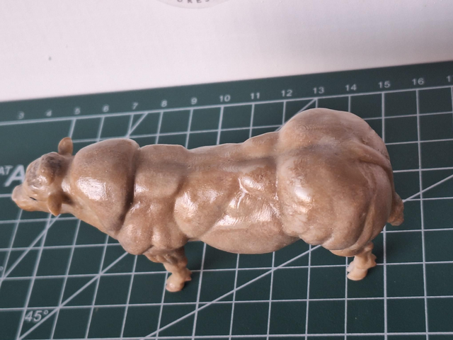Miniatuur stier Belgisch Witblauw BW2