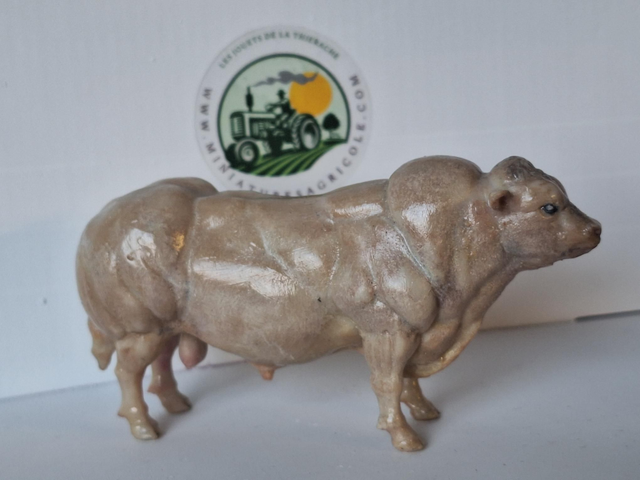 Miniatuur stier Belgisch Witblauw BW2