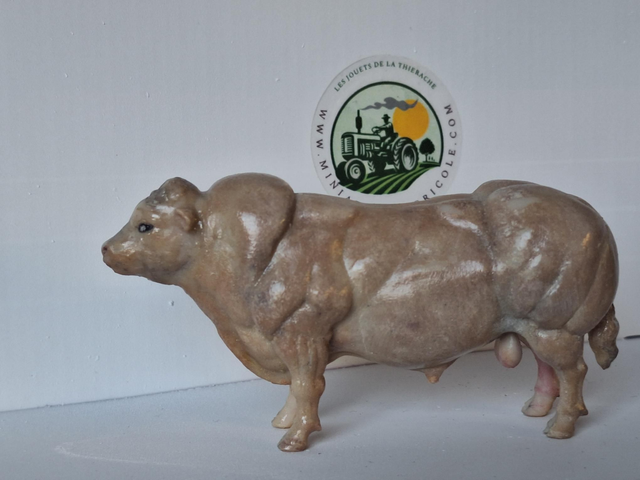 Miniatuur stier Belgisch Witblauw BW2