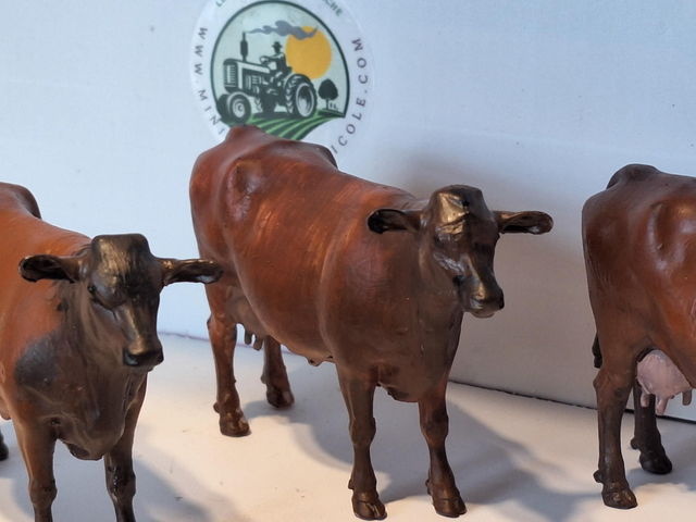 Créations en resine 3d vache Rouge Flamande rgf01