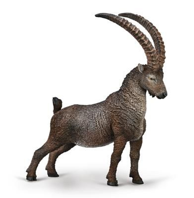 CollectA 80020 bouc des Alpes