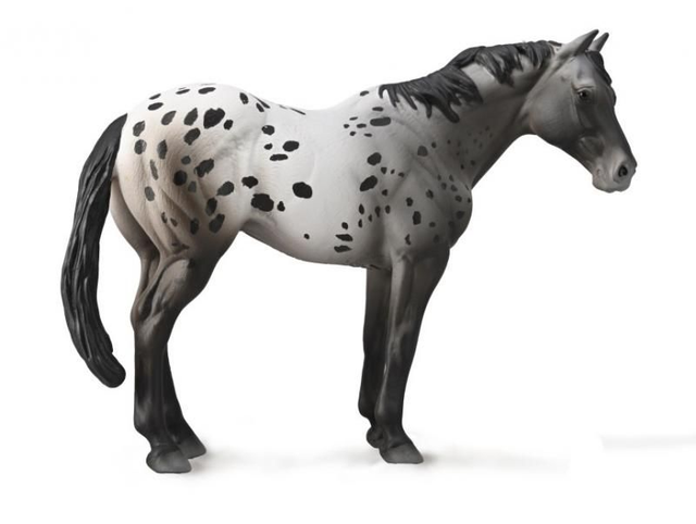 Collecta Pays du cheval >  Chevaux - Échelle 1:20    88947  Appaloosa Bleu Rouan