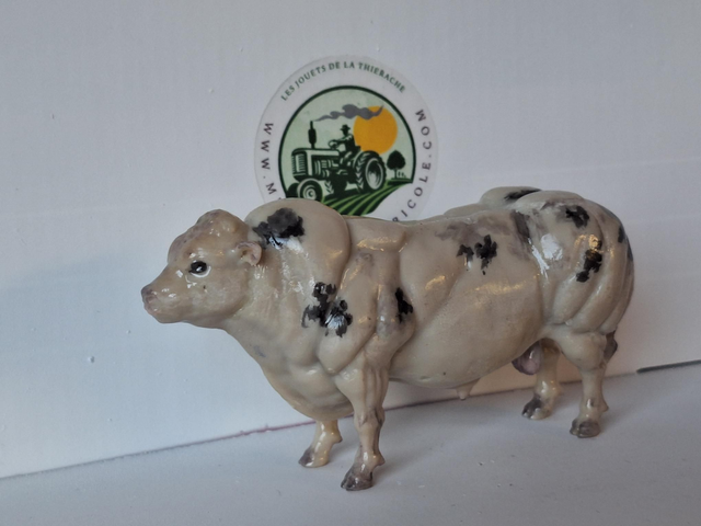 Miniature taureau bleu blanc belge BBB3
