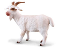 Collecta 88212 bouc