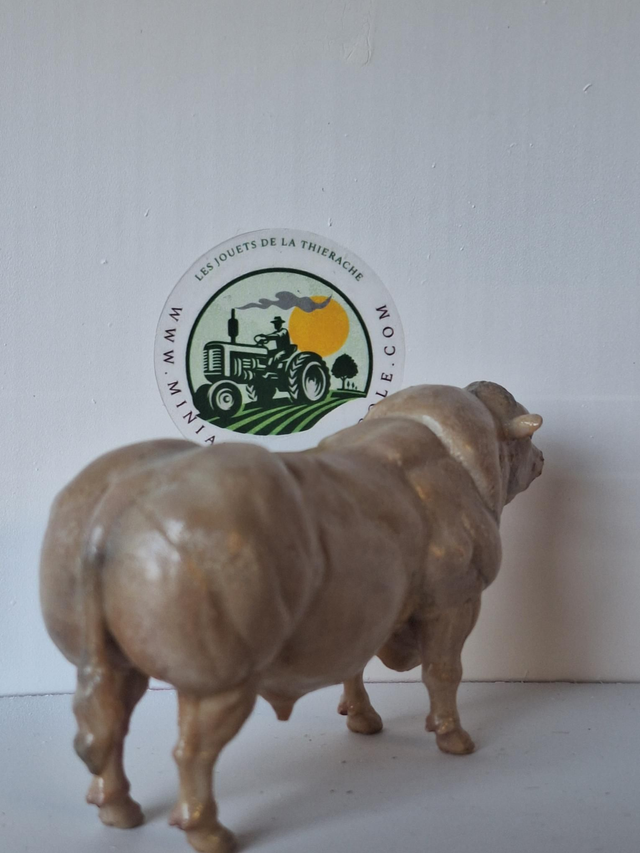 Miniatuur stier Belgisch Witblauw BW2