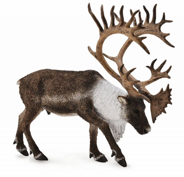 Collecta La vie sauvage >  Amérique du Nord    88709  Caribou des bois