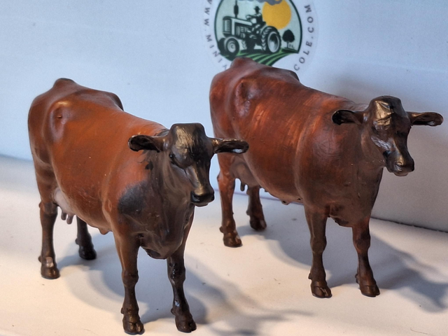 Créations en resine 3d vache Rouge Flamande rgf01
