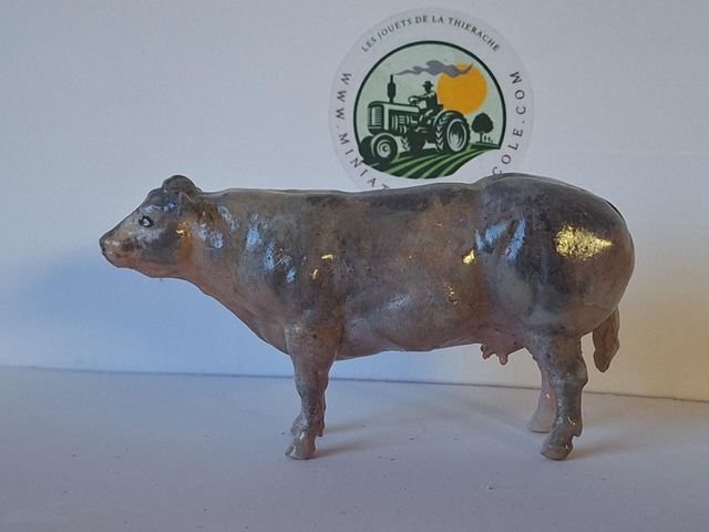 Miniatuur Belgisch Witblauw rund BBB4