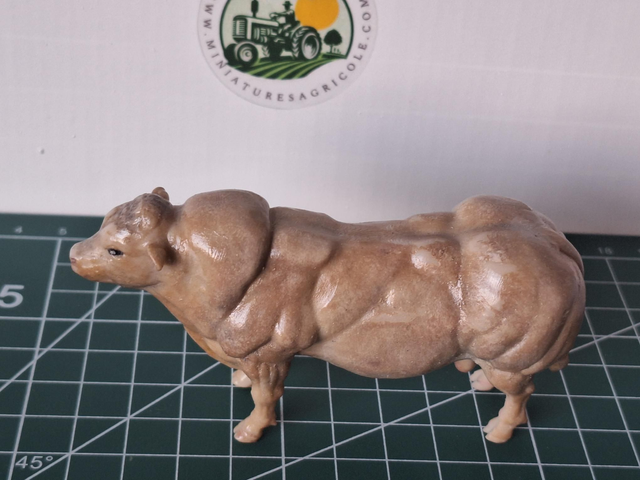 Miniatuur stier Belgisch Witblauw BW2