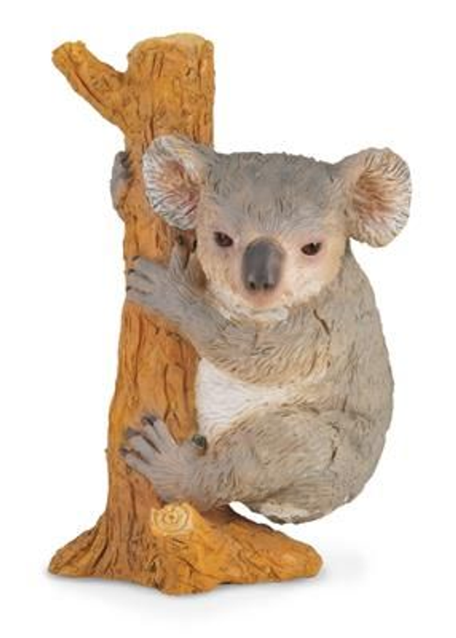Collecta 88356 Koala - (M)