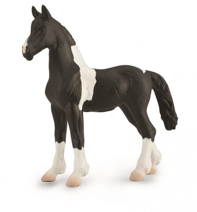 Collecta Pays du cheval >  Chevaux - Échelle 1:20    88893  Poulain Pinto Baroque