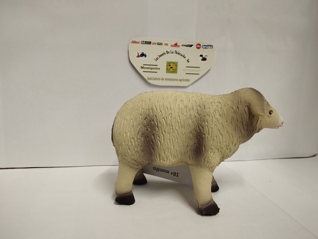 604 605 Mouton animal de jeu en caoutchouc naturel