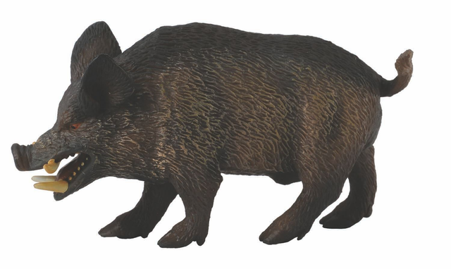 Collecta La vie sauvage >  Asie et Australasie    88363  Sanglier