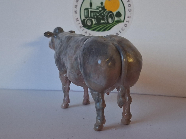 Miniatuur Belgisch Witblauw rund BBB4