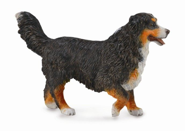 Collecta L'heure de la ferme >  Chats et chiens    88801  Bouvier bernois