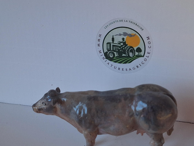 Miniatuur Belgisch Witblauw rund BBB4