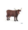 PAPO 51042 vache Salers