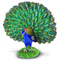 Paon CollectA – Figurine d’oiseau L